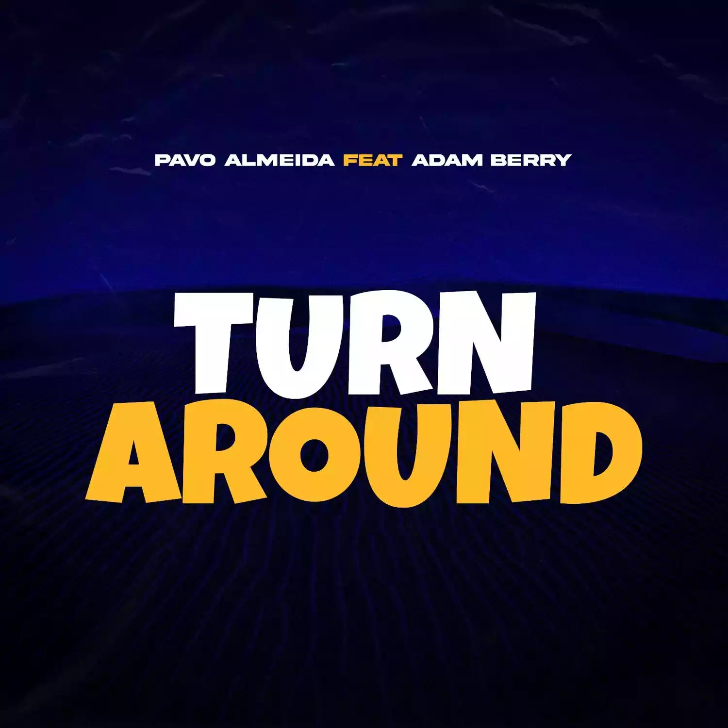 Pavo Almeida ft Adam Berry - Turn Around Mp3 Download